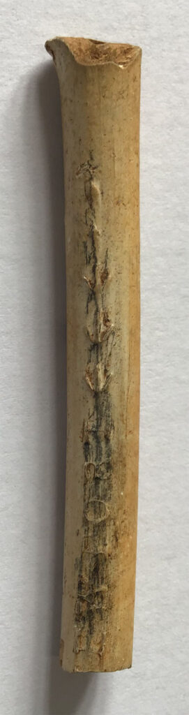 clay pipe stem fragment